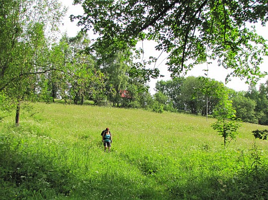 Zejście ze schroniska przez łąki w Czarnowie.