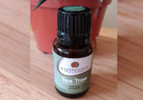 Tea Tree Oil reverse cavities