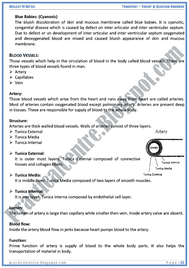 transportation-theory-and-questions-answers-biology-xi