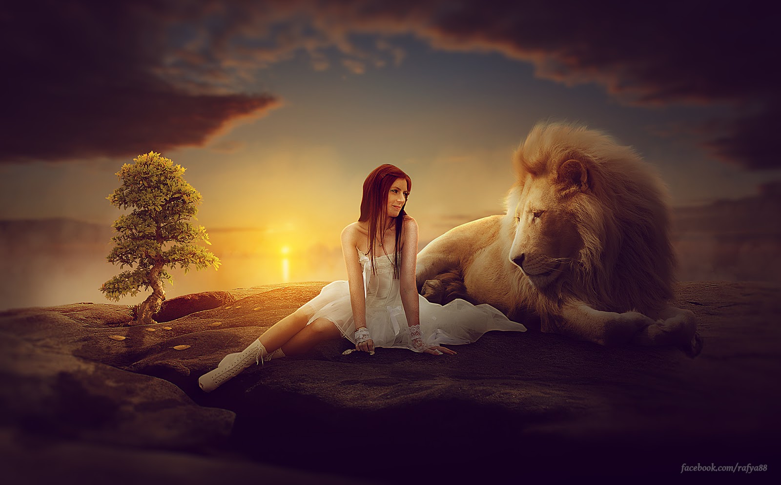 Как понравиться льву. Женщина Лев. Девочка и Лев. Девушка львица. Фотосессия со львом.