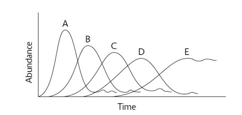 Pembahasan Pembahasan
