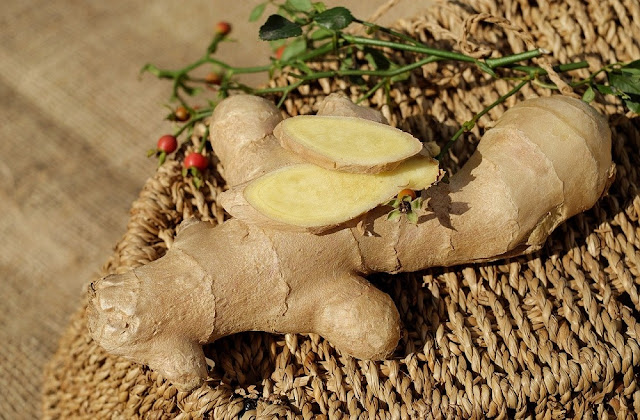 Can Dogs Eat Ginger? Why Ginger Is So Good For Your Dog!