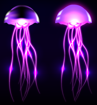 Medusas fluorescentes - vectoriales