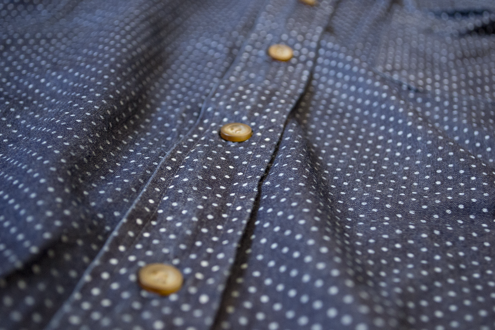 Review camisa Old Ridel en chambray con topos.