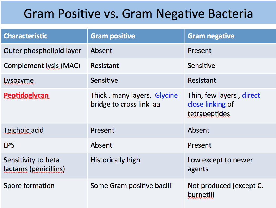 Gram Positive Vs Gram Negative Chart