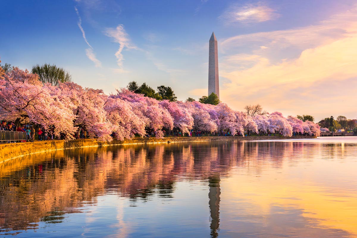 The washington D. C. weather