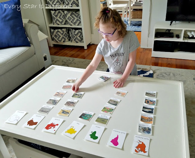 Reptile Continent Sorting Activity and Printable