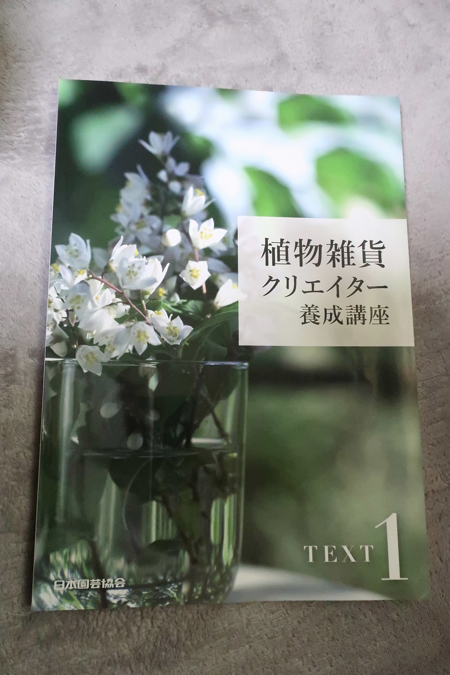 ★植物雑貨クリエイター養成講座 テキスト1～4とDVD３枚セット a0271 2025年最新】植物雑貨クリエイター養成講座の人気アイテム