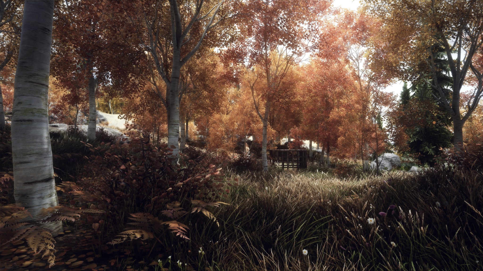 Skyrim SE Modlist Plants & Trees Part 1 Modpocalypse Gaming