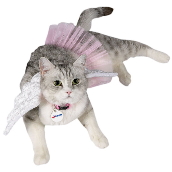 Homemade Cat Costumes: Cats Avenue