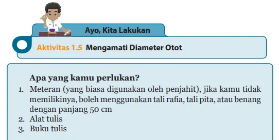 Kunci Jawaban Ipa Kelas 8 Halaman 34 Ayo Kita Lakukan Aktivitas 1 5 Mengamati Diameter Otot Wali Kelas Sd