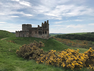 View of Crichton Castle, Midlothian on a hill with gorse bushes flowering in yellow in the foreground.  Photo by Kevin Nosferatu for the Skulferatu Project.