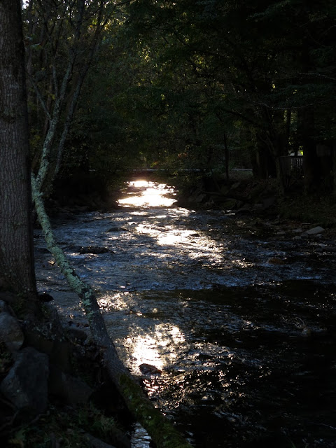 Babbling brook Maggie Valley North Carolina