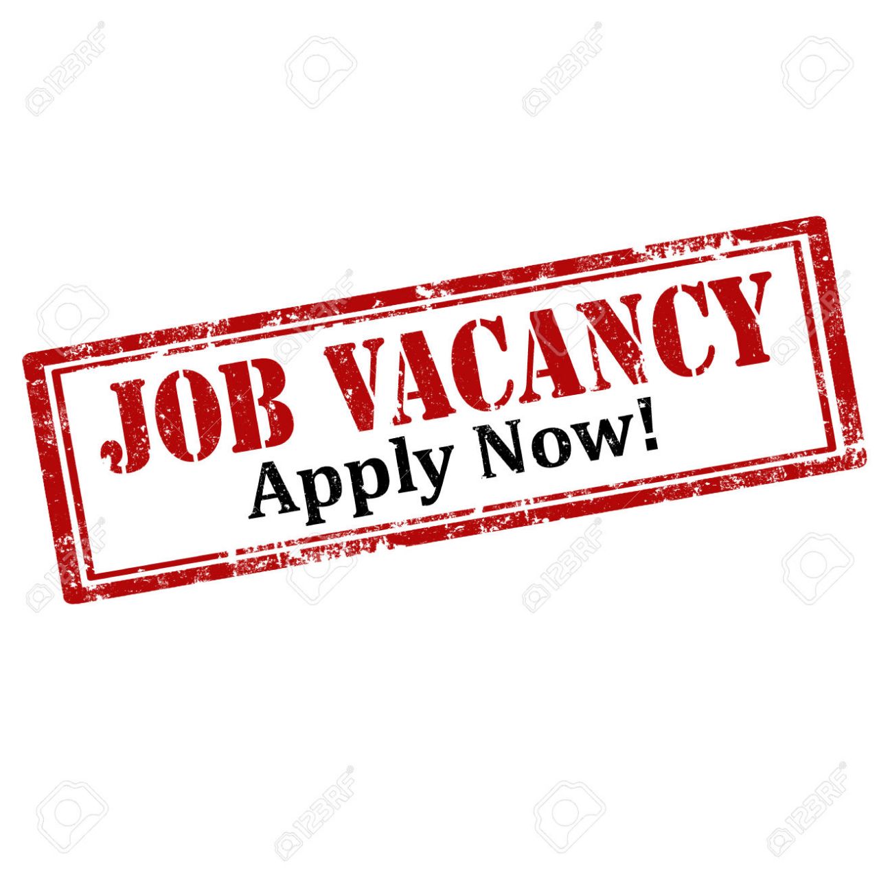 new job opportunity