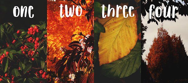 8 Autumnal Phone Backgrounds || Blogtober
