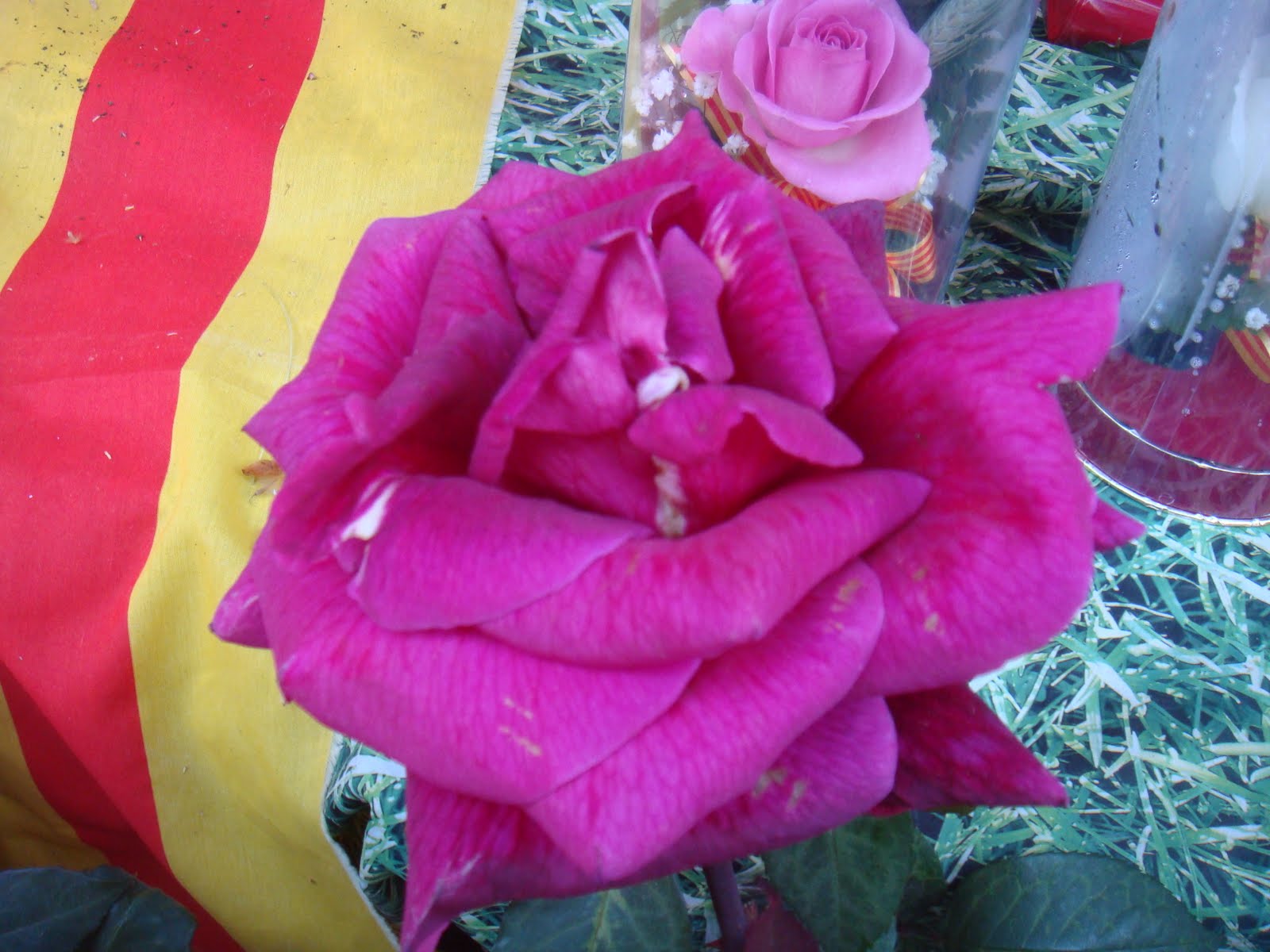 LITTLE THINGS, BIG THINGS...: SAINT GEORGE DAY
