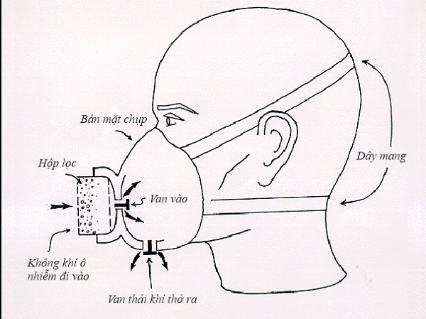 hướng dẫn sử dụng