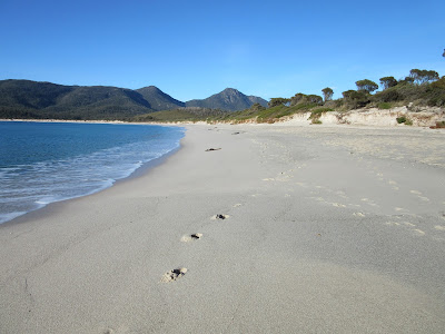 Playa de la Wineglass Bay, en Freycinet, Tasmania Playa de la Wineglass Bay, en Freycinet, Tasmania
