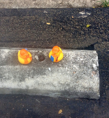 2 duckies on a curb