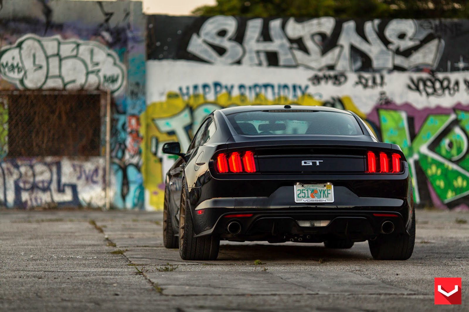 Ford Mustang 05 09 Tail Lights
