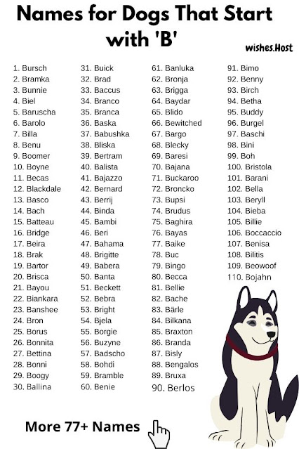 Dogs Names That Start with B Letter