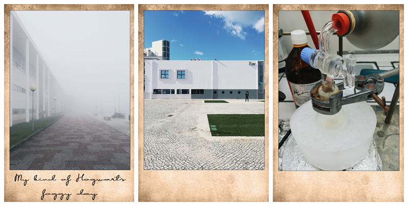 February 2018 photography o blog da mo February 2018 photography o blog da mo