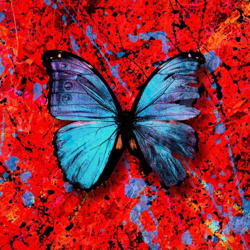 ed-sheeran-visiting-hours-lyrics