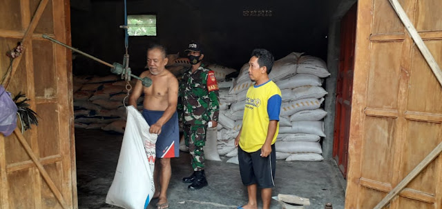 Babinsa Lakukan Pengecekan Pupuk Petani Bersubsidi Babinsa Lakukan Pengecekan Pupuk Petani Bersubsidi