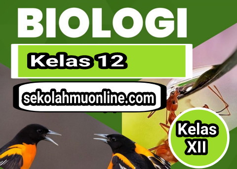 Soal Biologi Kelas XII Bab 2 Metabolisme dan Kunci Jawabannya