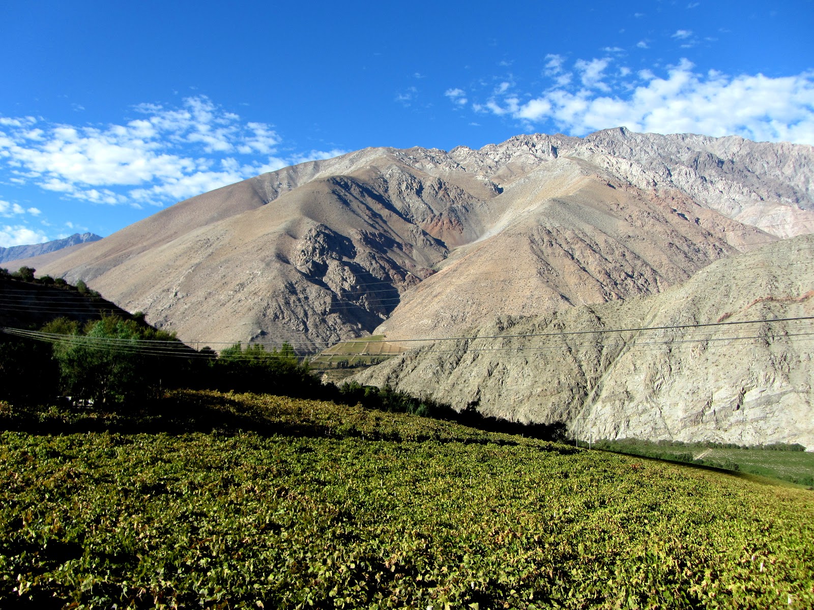 SAjourney Valle de Elqui