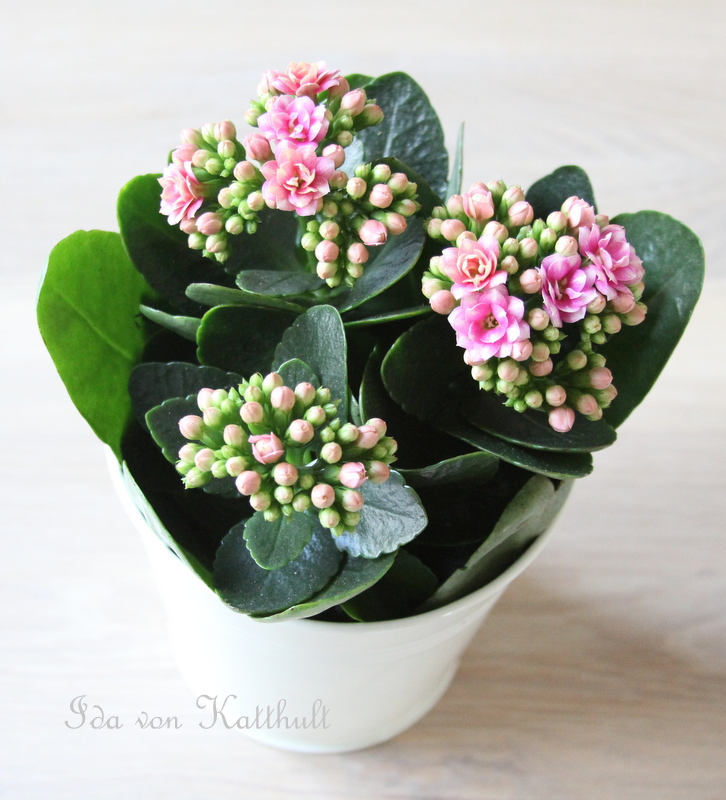 Idas Bloghaus: April 2013