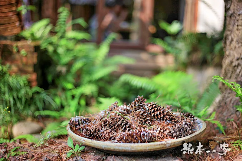 苗栗三義。焉美術行館|藝術與大自然的身心靈合一|附近有軌道自行車景觀
