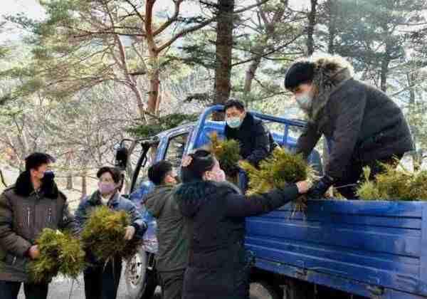 Forest conservation efforts in North Hwanggae Province