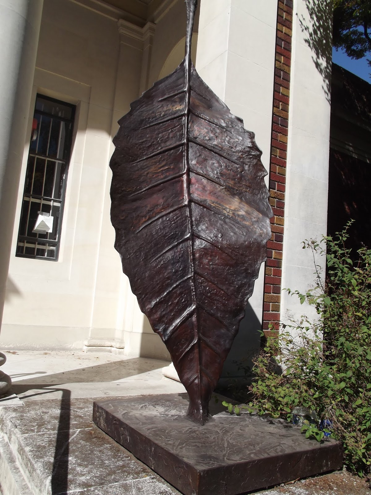 CHRISTCHURCH BOTANIC GARDENS