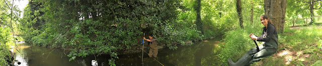 Panoramic photo of stream with lots of green riparian vegetation with woman standing in the stream wearing waders and measuring stream flow.