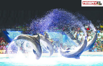 دبي دولفيناريوم Dubai Dolphinarium -السياحة في دبي الساحرة - تعرف على 20 من أفضل المعالم السياحيه التي تستحق الزيارة بدبي - أماكن سياحية في دبي للأطفال