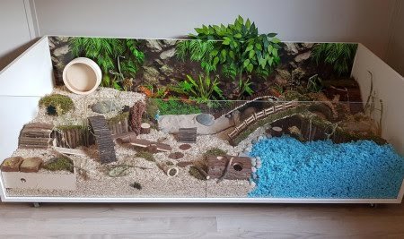 Cara Membuat Kandang Hamster Dengan Mudah Dan Sederhana Bangmaul Com Cara Membuat Kandang Hamster Dengan Mudah Dan Sederhana Bangmaul Com