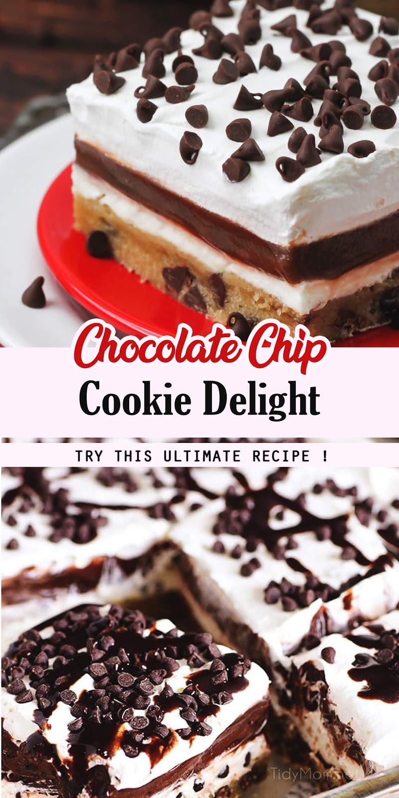 Chocolate Chip Cookie Delight 3 SECONDS