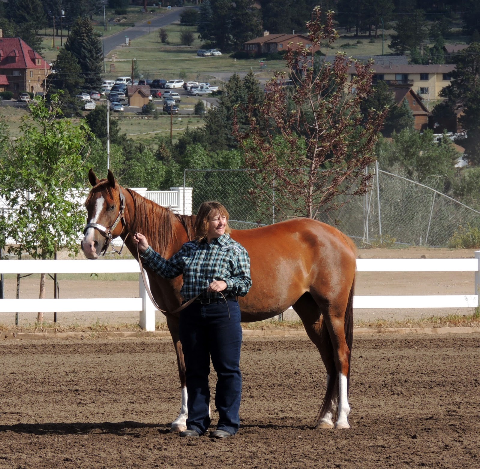 Bit of Honey Training Jubilee's Halter Class