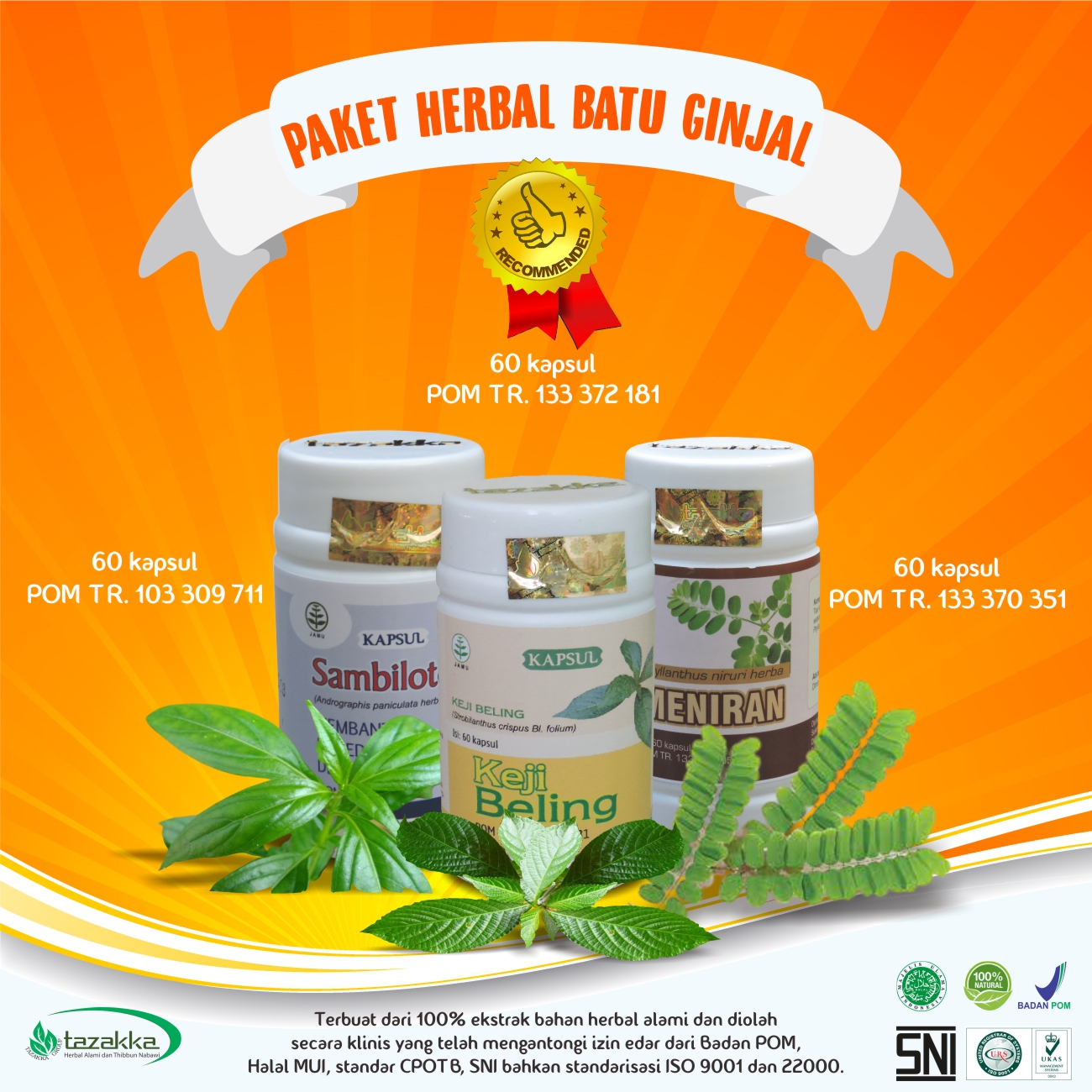 obat penghancur batu ginjal