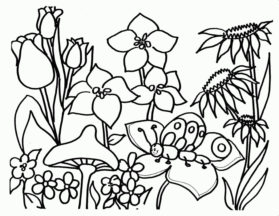 Desenho da Primavera para Colorir: Imagens para Educação Infantil