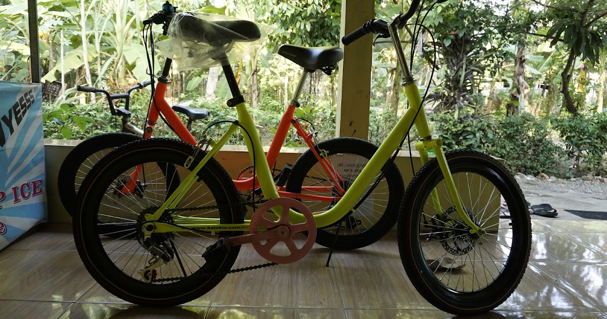 sepeda minion brompton