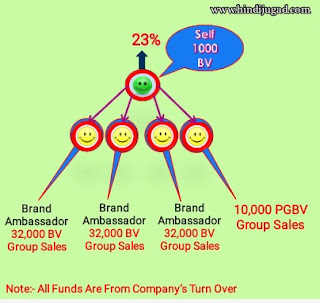 dear life company business plan