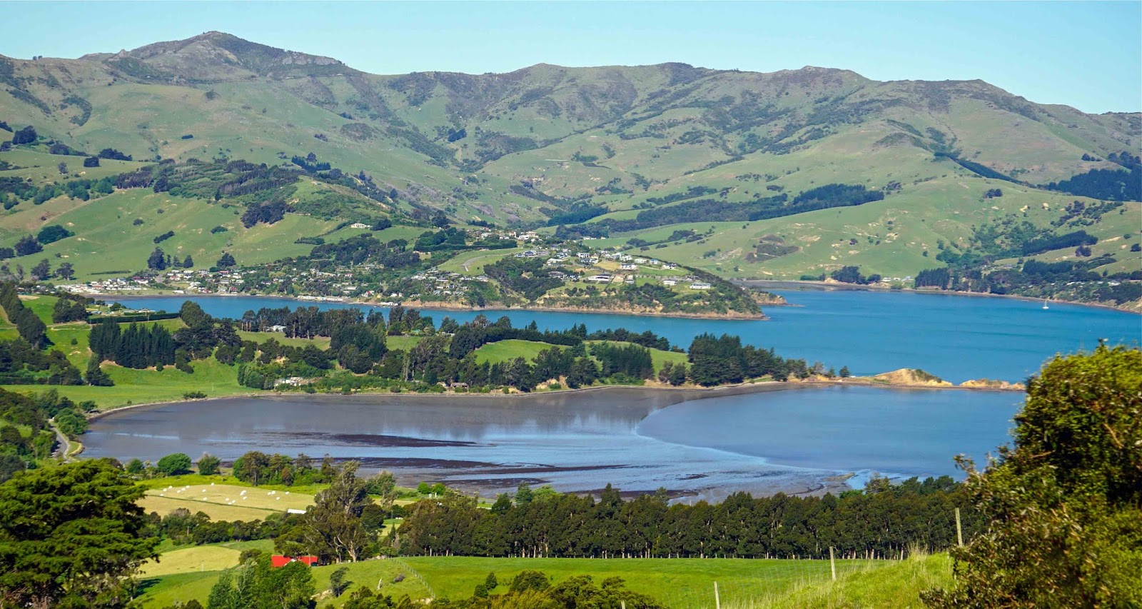 Along for the ride Akaroa, New Zealand
