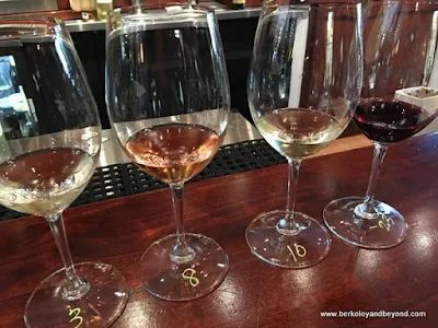 wine tasting at We Olive & Wine Bar in Los Gatos, California