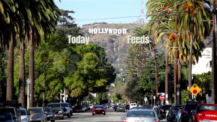 Hollywood Today Feeds