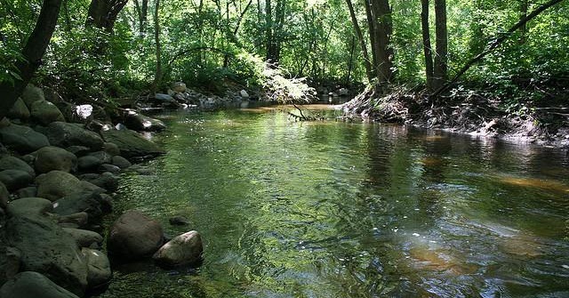 I am CuTRis: Minnehaha Creek to be Renamed to Schitt Creek