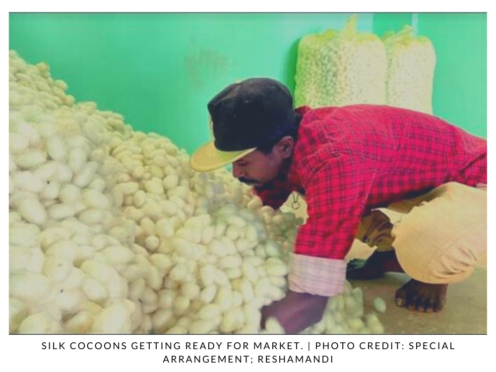 How Technology Is Weaving Stronger Silk Supply Chains The FarmPURE