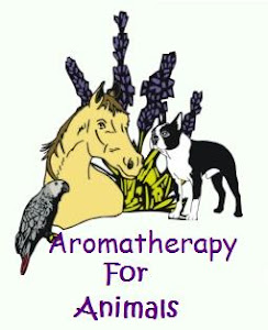 aromaterapia zwierzat
