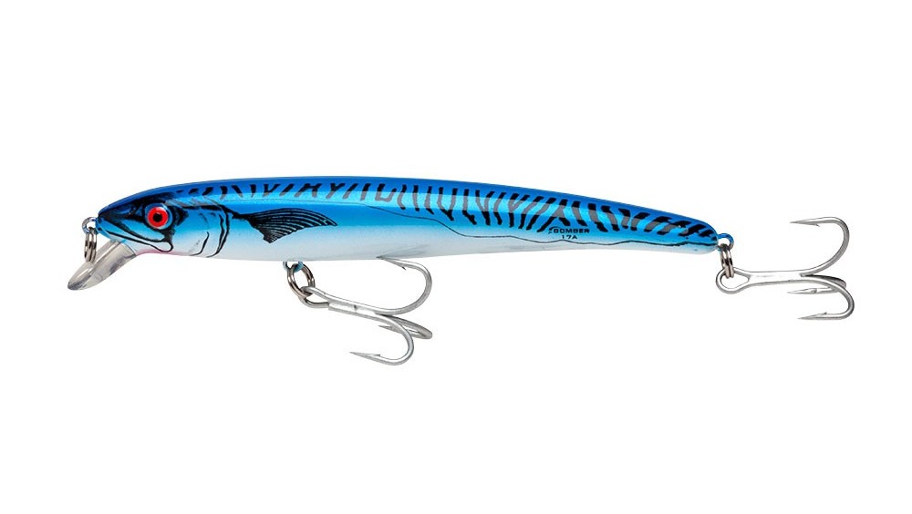 Top 5 Best Mackerel Lure Products Mackerel Fish Frozen, Frozen Pacific Mackerel, Price of King